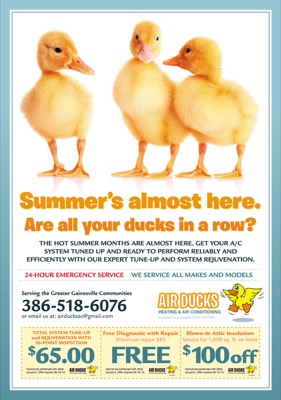 Air Ducks advertisement — Our Town High Springs